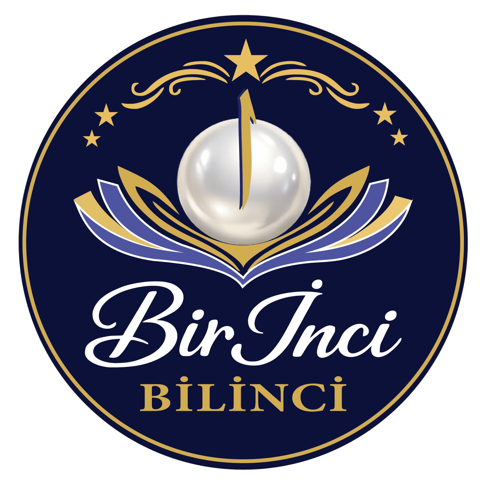 Birinci Akademi Logo
